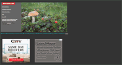 Desktop Screenshot of mushroomstrade.com
